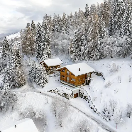 Above The Clouds - Spacious With Great View Dağ evi Fey (Nendaz)