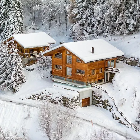 Dağ evi Above The Clouds - Spacious With Great View Fey (Nendaz)